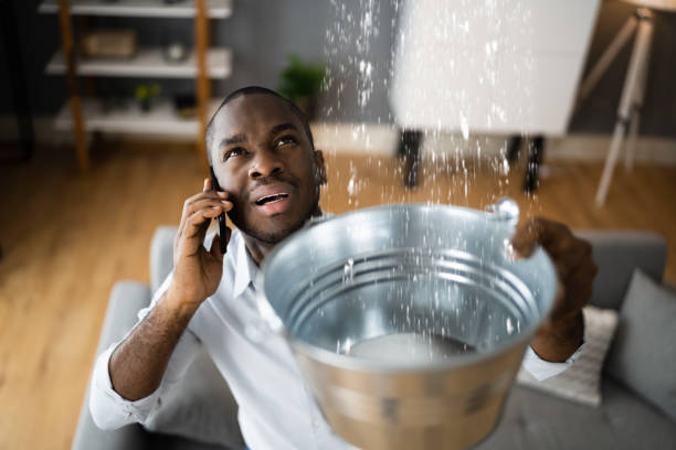 Best Carpet water damage restoration  in Breaux Bridge, LA