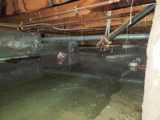 Best Flood restoration services  in Breaux Bridge, LA