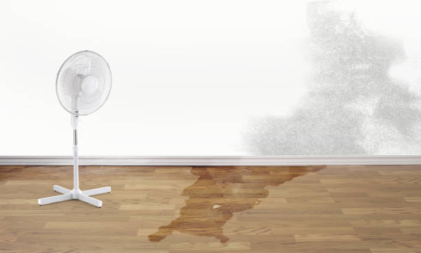 Best Flood damage cleanup  in Breaux Bridge, LA