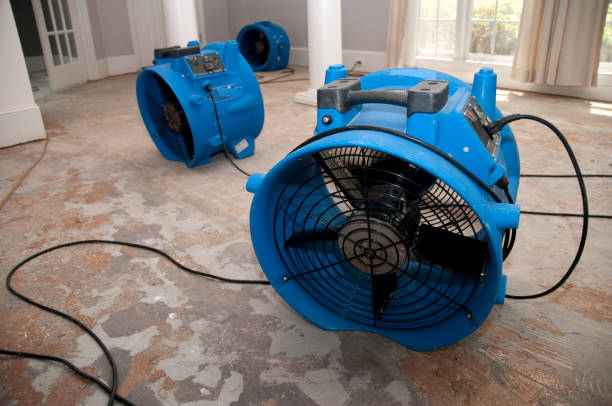 Best Water damage restoration near me  in Breaux Bridge, LA