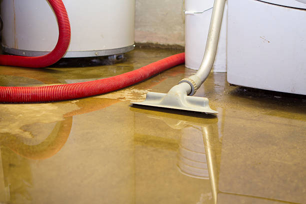 Best Ceiling water damage repair  in Breaux Bridge, LA