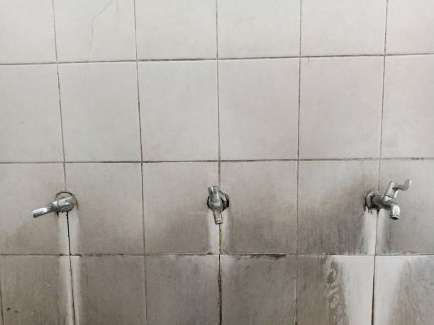Best Water damage restoration company  in Breaux Bridge, LA