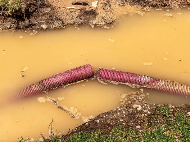 Best Water damage repair service  in Breaux Bridge, LA